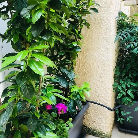 Area 2 Appartement